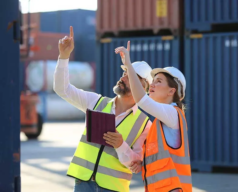 Çoklu Dilli Nakliyat Scripti